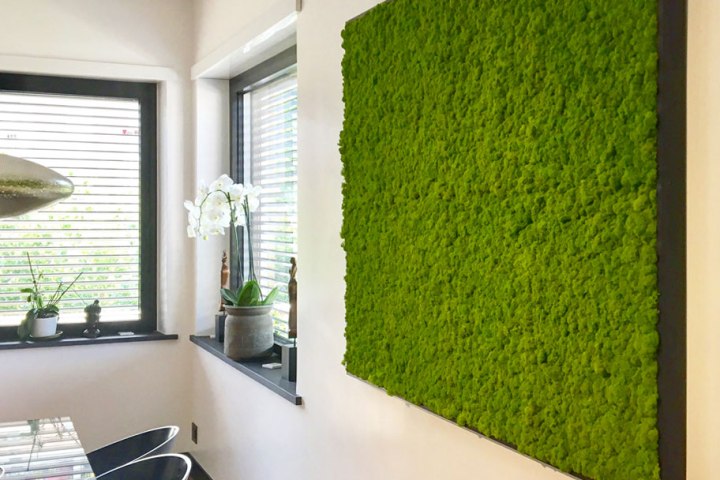 Allestimento-Parete-Casini